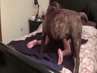 Hot zoophilia amateur asian wife getting fucked by her